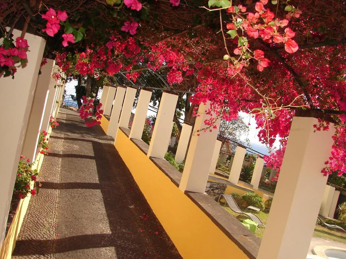 Apartment Private Pool Apt. With Great View Funchal